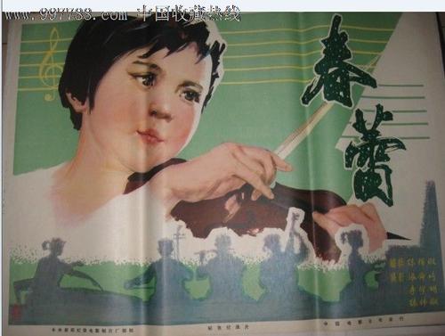 怎么购买巴西护照电子版